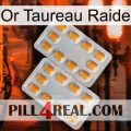 Stiff Bull Gold cialis4